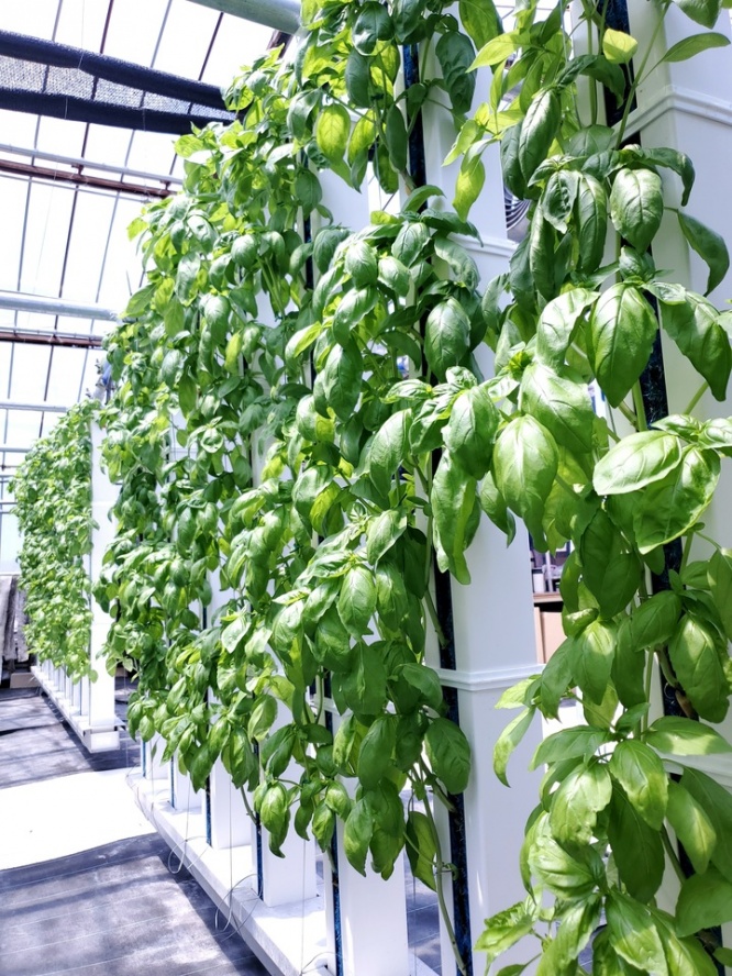 グリーンリバーホールディングス株式会社のプレスリリース画像