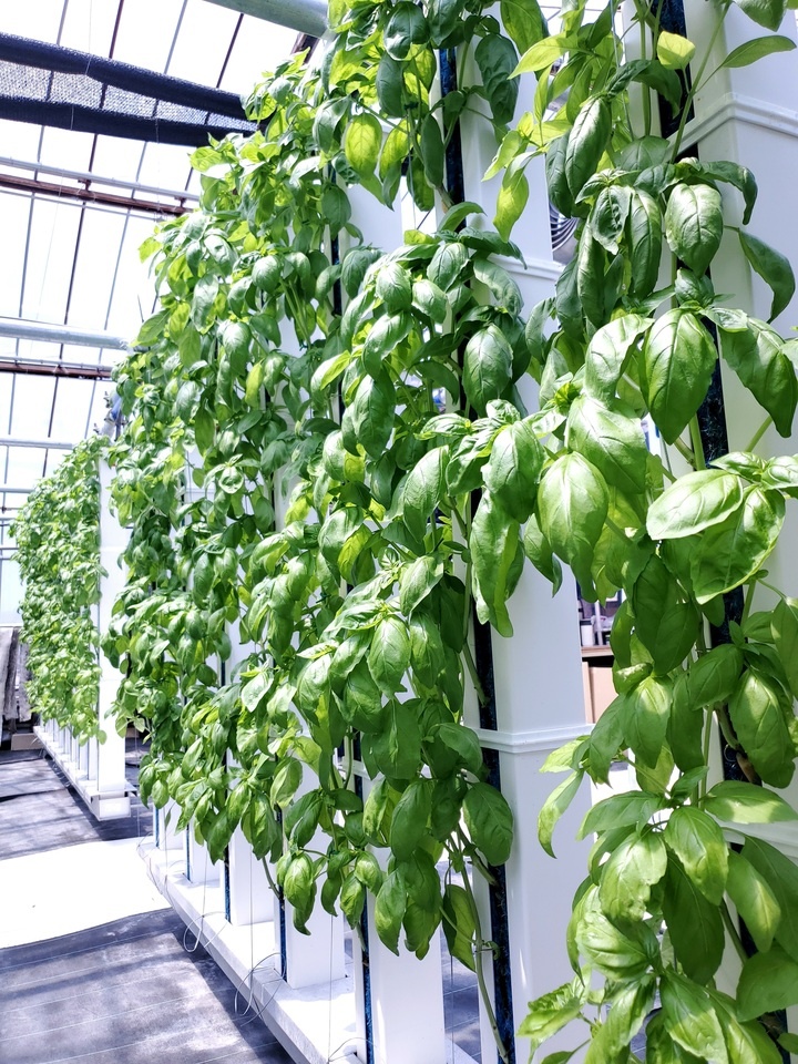 グリーンリバーホールディングス株式会社のプレスリリース画像