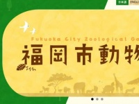 画像は「福岡市動物園」のサイトより