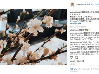 インスタグラム：紗栄子(@saekoofficial)より