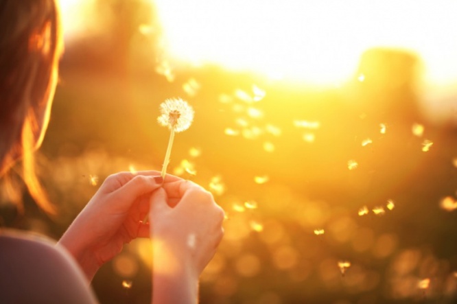 iStock_000020196156_Small