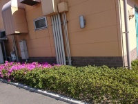 写真はTwitterより、投稿者の許諾を得て掲載しています