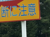「さすが北海道」としか言えない　同じ場所に立つ〝横断注意看板〟2種に1.7万人驚がく「野生のおるんやな」