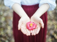 要注意！　お見舞いで「椿の花」を贈るのがNGな理由