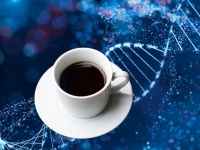 ただし個人差があります。コーヒー好きかどうかは遺伝子が関与していることが判明