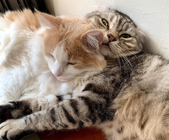 2020年、最も読まれた記事トップ20