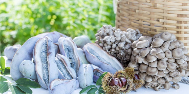 「Doctors Me（ドクターズミー）」コラム画像