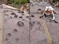 どうしてこうなった？洪水の後、道路がふくれあがり無数の石が生まれる（中国）