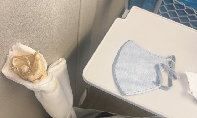 隣席の客も思わず「凝視」　新幹線でまさかのモノを運搬する女性にリアルもネットも大困惑