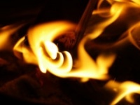 画像はイメージです