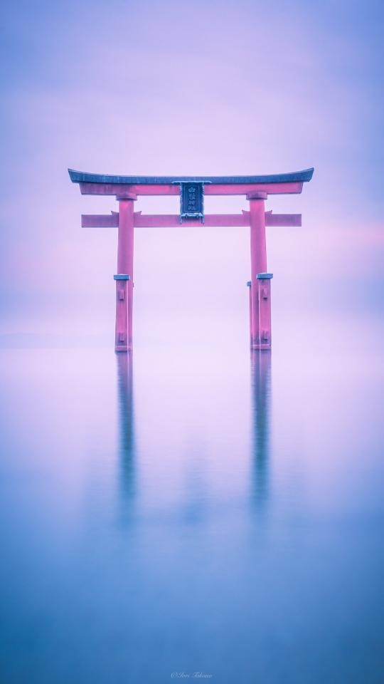 ぜひ一度自分の目で見てみたい