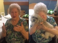 愛犬を亡くし失意のどん底にいるおばあちゃんに再び笑顔を。運命の導きで新たなる相棒が訪れた！（アメリカ）