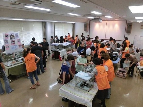 猫の譲渡会の会場内の様子(画像提供:名古屋市健康福祉局健康部)