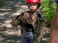 「ボク、にゃんこを拾ったの！」サイクリングの途中で猫と出会った男の子、抱きかかえてパパとママに見せに来る