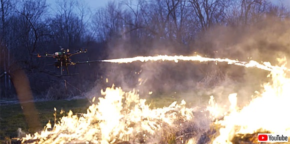 スクリーンショット-(1637)