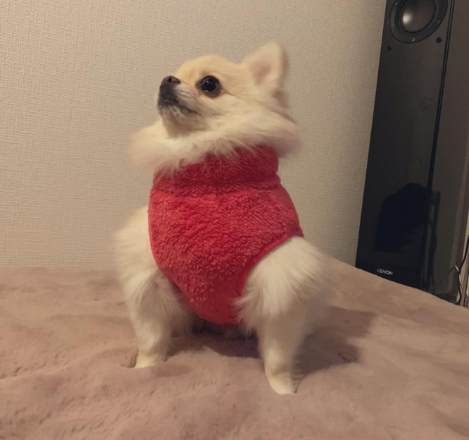 ナイスマッソー！