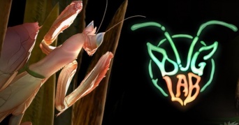 巨大昆虫がうごめく！ときめく！「WETA」が手掛けた昆虫科学展「バグ・ラボ」がニュージーランドで開催中！