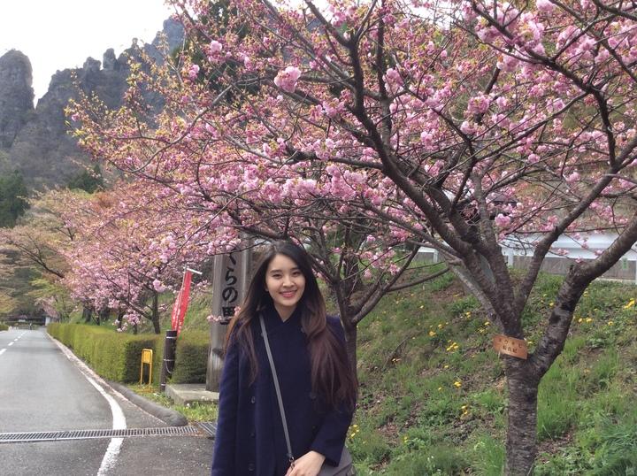 株式会社ブレインワークスのプレスリリース画像