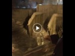氷点下の奇跡！　極寒の国カナダでお湯をブチまけた結果…