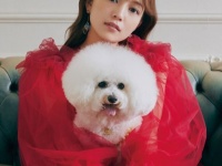 ビジュえぐすぎ!!!!　川口春奈、もふもふの白い犬との2ショットに「なんでそんな可愛いん」の声