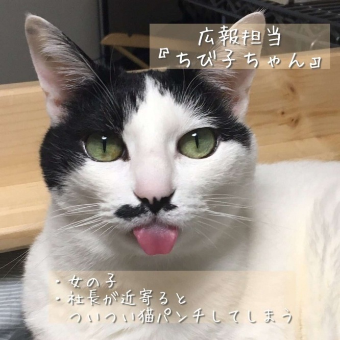 広報担当のちび子ちゃん（画像は佐々木酒造　公式ツイッターより）
