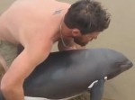 イルカを救え！　とある男性の包容力あふれる救出劇！