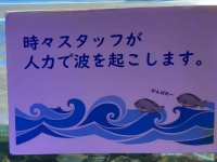 水族館に衝撃の掲示「時々スタッフが人力で波を起こします」　造波装置が故障したから...お魚たちも「がんばれ～」