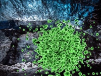 氷河の中から未知の古代ウイルスが発見される（チベット）