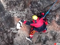 崖に落ち身動きが取れなくなっていた犬、助けに来てくれた救助隊にありったけの力で尻尾を振る