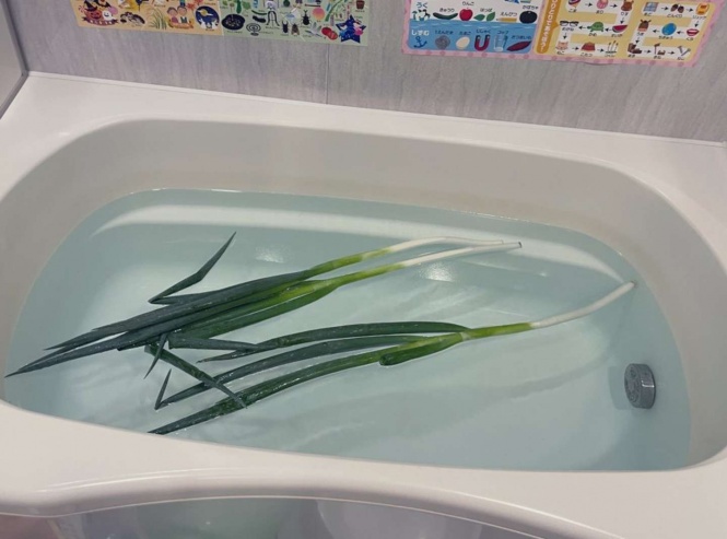 似てるね（画像は再掲）