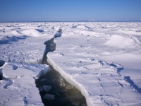 南極大陸の氷に閉じ込められた気泡が5600万人の死を記録していた