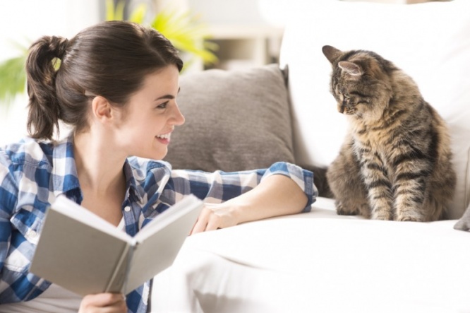 iStock_000037428302_Small