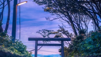 鳥居越しの海の青さがうつくしい　茨城・酒列磯前神社で目撃された神秘的絶景