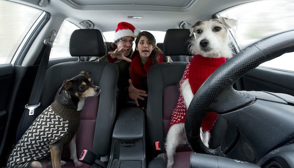 女子スキー高梨沙羅が00万円ベンツ所有でイメージダウンの危機に 1ページ目 デイリーニュースオンライン