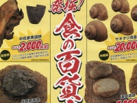 古代の日本には、どんなグルメが存在した？　仙台で開催中の「発掘！食の百貨店」が楽しそう