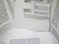 ​東大発ベンチャー、論文に画像の盗用がないか自動で判定するシステムを開発