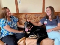 「この子がいると、自分の家に思えるよ」ハイウェイを渡って老人ホームへ通っていた犬、正式にホームの飼い犬となる。
