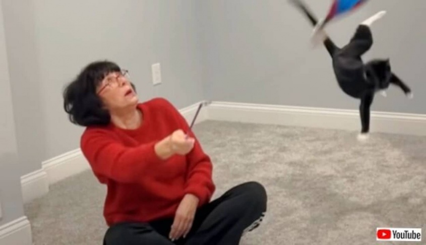 猫を飼ったら毎日がカオス？「ねえ、この子とどうやって遊んだらいいの？」猫飼い初心者のママ、子供たちにSOSを出す