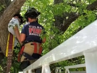 猫を助けようと思ったら自分が助けられる羽目に。木に引っ掛かった飼い主が消防隊に助けられるという事案