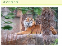 画像は「セルコホーム ズーパラダイス八木山」のウェブサイトより