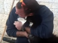行方不明だったハスキー犬、得意な歌を歌った（吠えた）ことで飼い主が判明