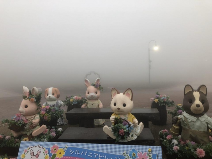 怖っ（写真はビニールタッキーさん提供）