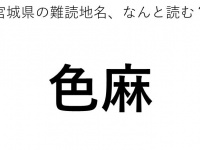 ヒント：し○○