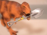3人の少年が発見した激レアなティラノサウルスの幼体の化石、博物館で展示されることに