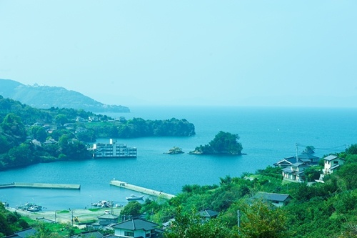 akasaki_a