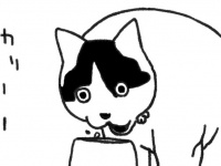 ごはんを食べた猫が何故か...　1.9万いいねの〝あるある〟に共感続々「これ毎回やる」「ウチと全く同じ」