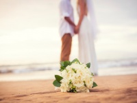 山本耕史と堀北真希の結婚に「信じられない。なにあれ！」と嫉む大久保佳代子