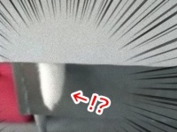 こう暑くっちゃよぅ...そこでハスキー犬は考えた。思いもよらぬ解決法が見つかった！