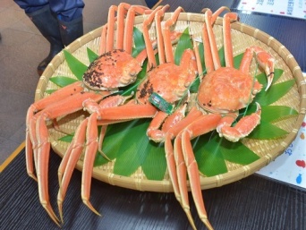 舞鶴市のプレスリリース画像