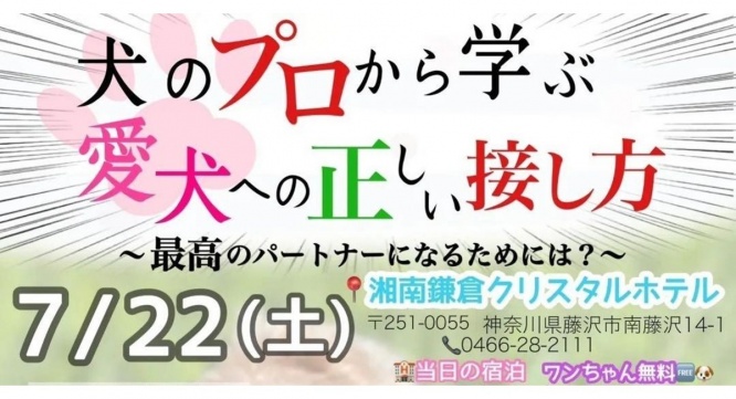 株式会社クリスタルインターナショナルのプレスリリース画像